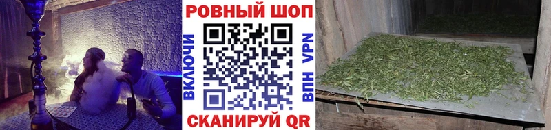 Купить закладку Мичуринск Конопля АМФ Гашиш MDMA КОКАИН