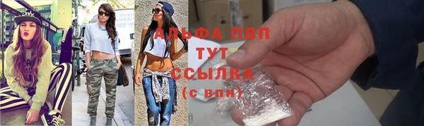 прущие крисы Белокуриха