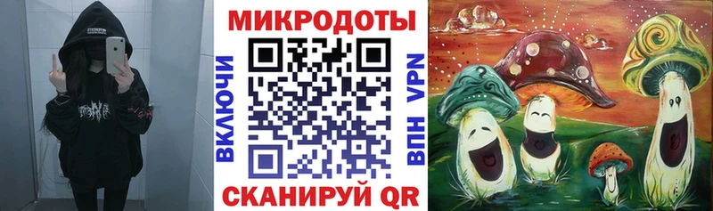 Галлюциногенные грибы Psilocybe  Мичуринск 